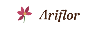 Ariflor